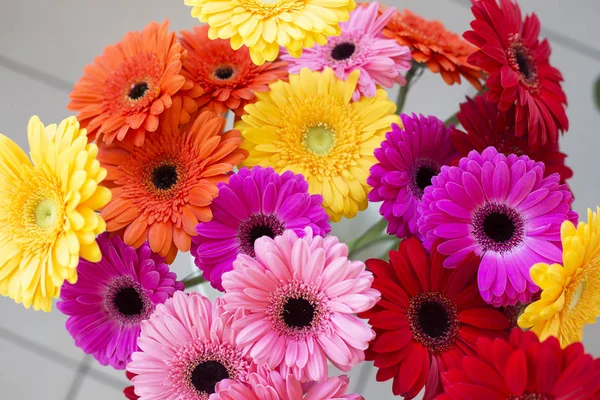 Armado de gerberas multicolores en un jarrón en el suelo — Foto de Stock