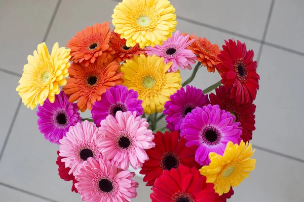 Mehrfarbige Gerbera von oben. Verkauf im Blumenladen — Stockfoto