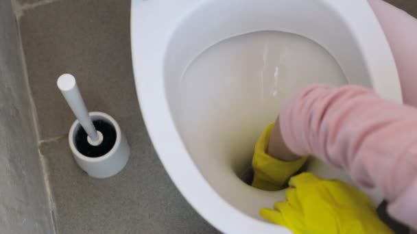 Дівчина ретельно очищає туалет в гумових рукавичках губкою — стокове відео