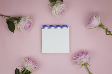 Pembe güller ile sunumlar için düzen. Masaüstü tasarımcısı, üst görünüm