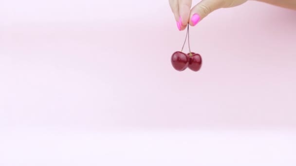 Спелые вишни, которые женская рука поворачивает на розовом фоне с местом для текста — стоковое видео