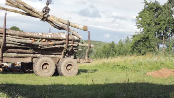 En kran avlastar stockar från maskinen till — Stockvideo