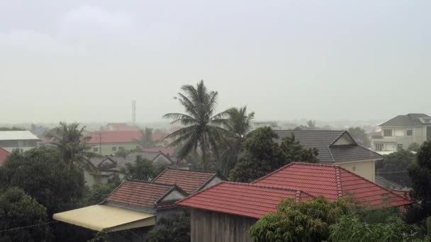 Tropical Storm Ulewy Wysokiej Wiatr Dmuchanie Drzew Domy Nad — Wideo stockowe