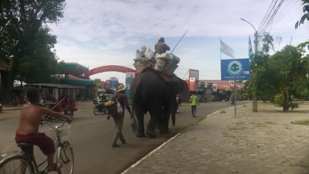 Kampong Kambodzsa 2018 Október Elefánthajcsár Elefánt Lovaglás Utcán Gyermek Kerékpár — Stock videók