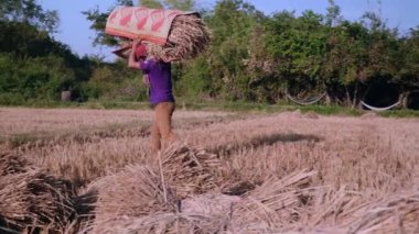 Kaydırma bir çiftçinin saman yığını taşıyan ve bir alan balya istifleme vurdu.