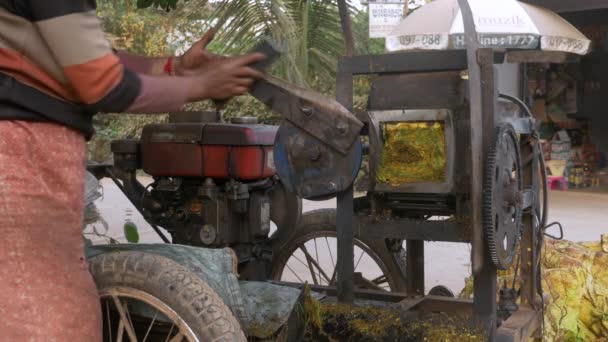 Agricultor Whetting Uma Lâmina Para Triturar Folhas Tabaco Close — Vídeo de Stock
