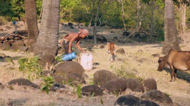 Toddy uzantılar yağan taze hasat palm su içinde bir huni kullanarak ve palm sap toplamak için palmiye ağaçları doğru yürüyen bir plastik bidon