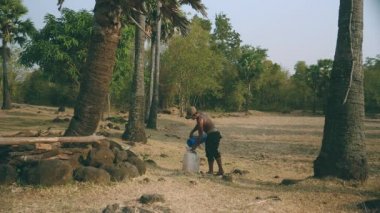 palm su içinde bir huni kullanarak bir plastik bidon Toddy uzantılar taze dökme hasat