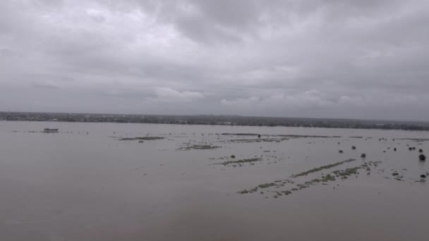 Drohnenschuss Aus Der Luft Flug Über Unter Wasser Stehende Felder — Stockvideo