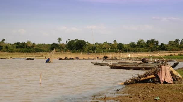 Pescador Camarão Captura Camarão Com Uma Rede Pesca Lave Lago — Vídeo de Stock
