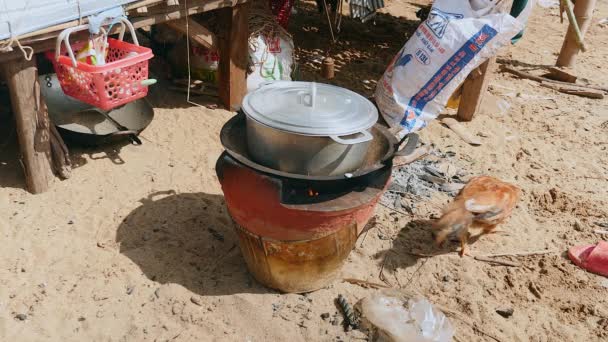 川沿いの伝統的な家庭用ストーブで穀物を探しまわって鶏炊飯鍋にクローズ アップ — ストック動画