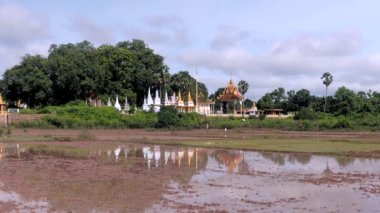 Pirinç çeltik tarlaları ve pagoda içinde belgili tanımlık geçmiş