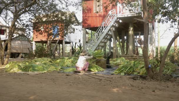 Achteraanzicht Van Vrouwen Voor Een Stilt Huis Landelijk Gebied Koppelverkoop — Stockvideo