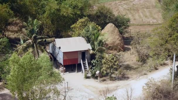 Vista Superior Granja Chapa Metálica Con Pajar Entre Vegetación Tropical — Vídeo de stock