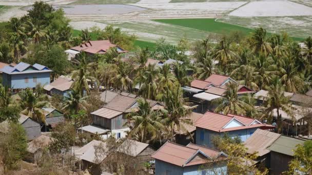 Horní pohled na malé venkovské město mezi palmami obklopené úrodnými poli