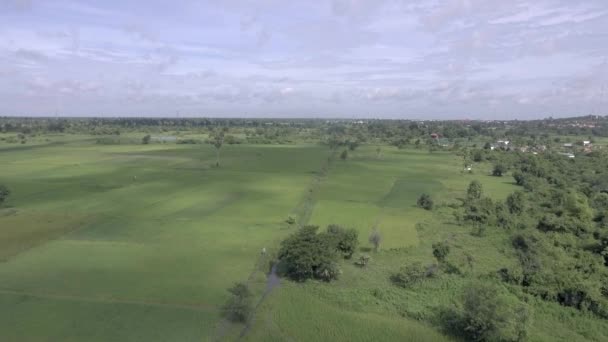 Statický Pohled Stínu Mraků Nad Farmář Chůzi Polích Rýžová Pole — Stock video