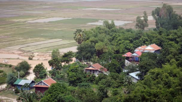 热带植被和被洪水淹没的稻田中很少有房屋作为背景 — 图库视频影像