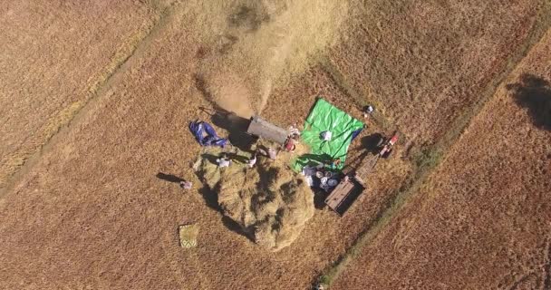 Vista Aérea Aérea Los Agricultores Trillando Arroz Con Una Máquina — Vídeo de stock