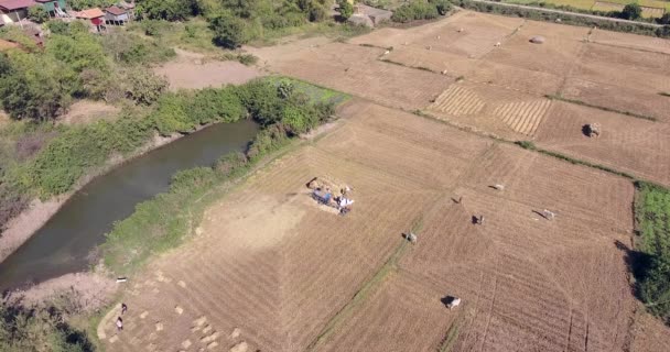 Visão Estática Aérea Agricultores Debulhando Arroz Com Uma Máquina Campo — Vídeo de Stock