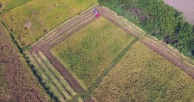 bir çiftçinin bir makine kullanarak pirinç bitkileri hasat hava statik görünüm