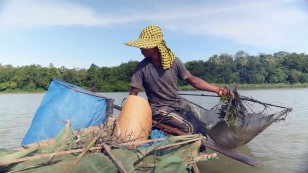 Ψαράς Πιάνει Γαρίδες Δελεάζει Και Την Σπρώχνει Βαθύτερα Ένα Ποτάμι — Αρχείο Βίντεο