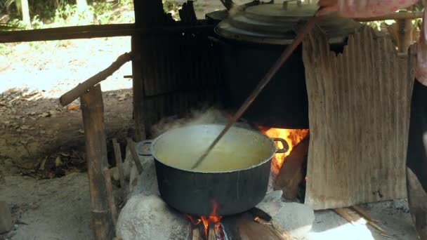 Woman Stirring Green Beans Large Pot Using Wooden Stick Close — Stock Video