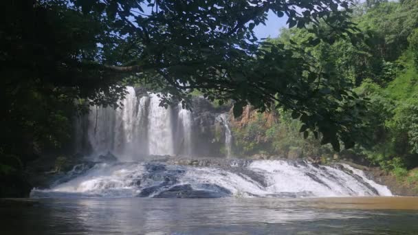 部分视图的一个令人印象深刻的瀑布在背景 由一棵热带树构成 — 图库视频影像