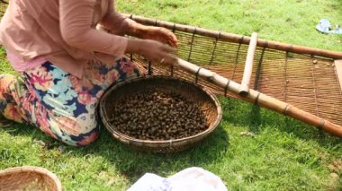 İstiridye bambu sepet içinde koyarak bir balıkçı Close-Up 
