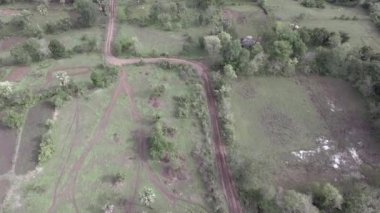 Hava dikey arıyorsunuz bir zikzak yol yol ile yeşil alanlar üzerinde geri çevirdi