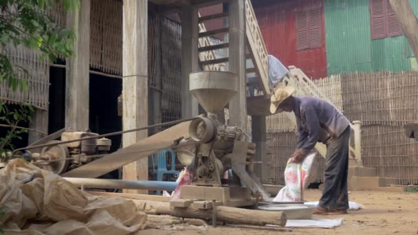 农民用一台旧机器碾米 稻谷通过磨坊喂养 橡胶辊取出外壳 给白米 — 图库视频影像