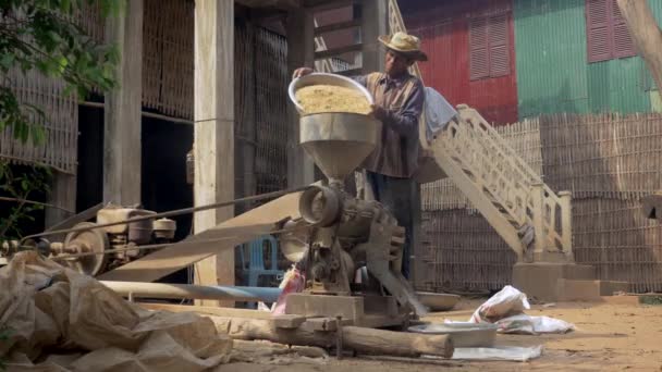 Boer Frezen Rijst Met Een Oude Machine Padie Wordt Gevoed — Stockvideo