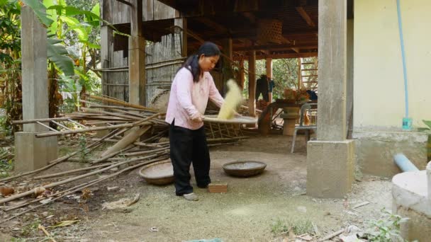 Woman Separating Clearing Husks Out Green Beans Using Bamboo Tray — Stock Video