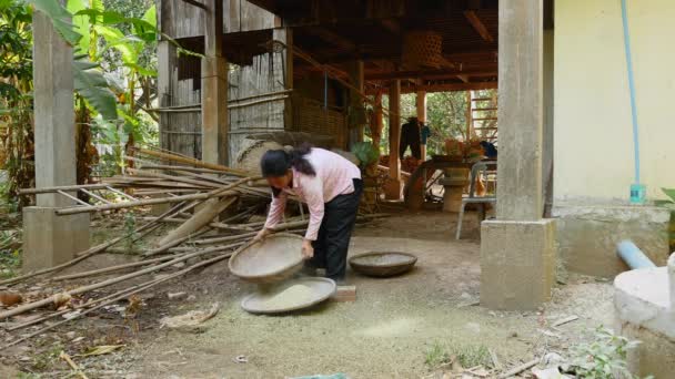 Woman Separating Clearing Husks Out Green Beans Using Bamboo Tray — Stock Video