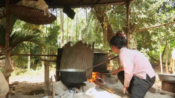 Kobieta Dodawanie Lasu Pod Gotowania Garnki Otwartym Drewnem Ognia Dołu — Wideo stockowe
