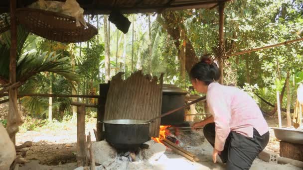 Mulher Adicionando Madeiras Sob Panelas Cozinha Lareira Lenha Aberta Feita — Vídeo de Stock