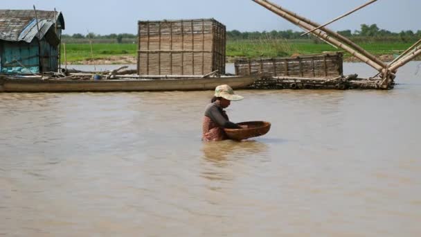 Mujer Aguas Poco Profundas Separando Almejas Una Cesta Bambú Manteniéndola — Vídeos de Stock