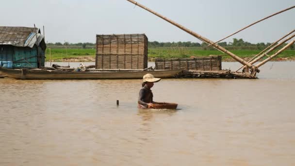 柬埔寨磅 柬埔寨 2017 一名妇女在浅水中浸透和整理竹篮中的蛤蟆 并将其保存在克拉玛布中 以游艇为背景 — 图库视频影像
