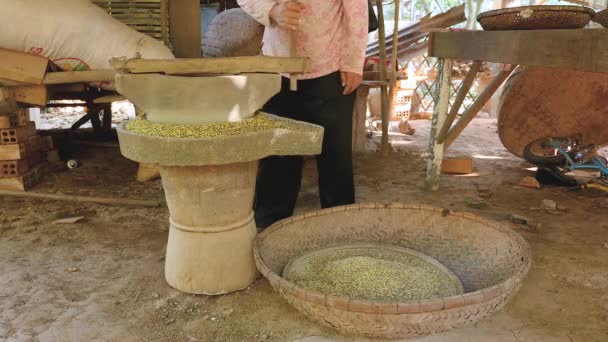 Woman Using Hand Turned Millstone Grind Green Beans — Stock Video