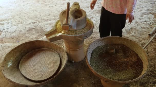 Mujer Usando Piedra Molino Torneada Mano Para Moler Judías Verdes — Vídeo de stock