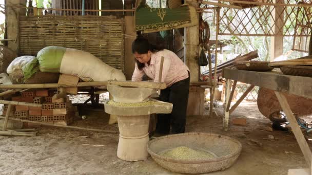 Mujer Poniendo Frijoles Verdes Molidos Dentro Una Cesta Bambú — Vídeos de Stock