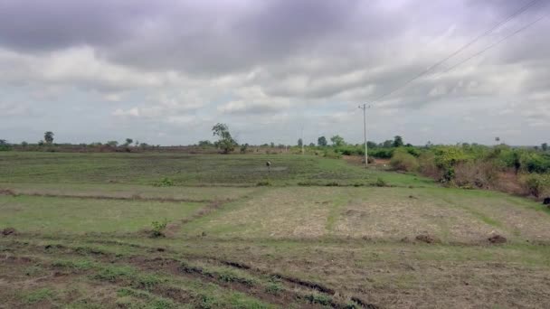 一名农民在田间喷洒农药的空中无人机射击 — 图库视频影像