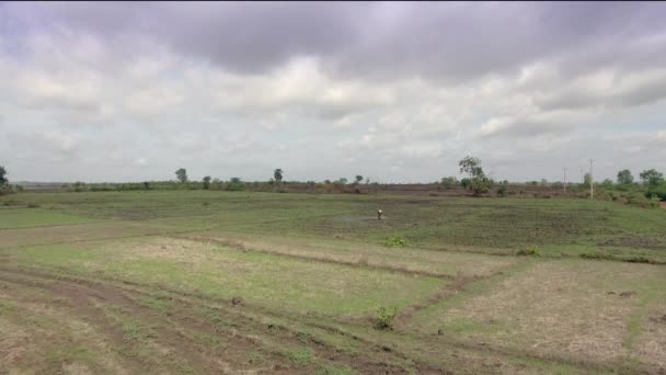 Drohnenschuss Eines Bauern Der Pestizide Auf Feld Versprüht — Stockvideo