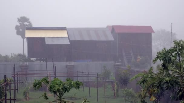 Lluvia Intensa Pequeño Jardín Tropical Casas Madera Como Telón Fondo — Vídeo de stock