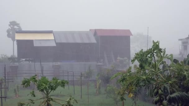 Kraftigt Regn Liten Tropisk Trädgård Och Trä Stylthusen Som Bakgrund — Stockvideo