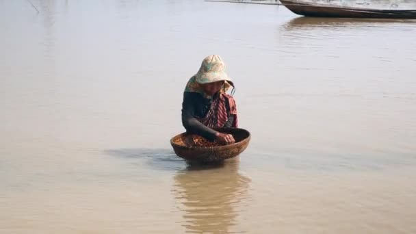妇女在浅水浸泡和排序的竹篮中的 并保持它克拉玛布 — 图库视频影像