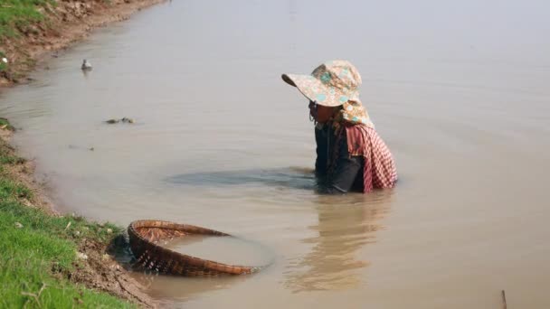 妇女收获到河底与竹篮浸泡在她旁边的水 — 图库视频影像