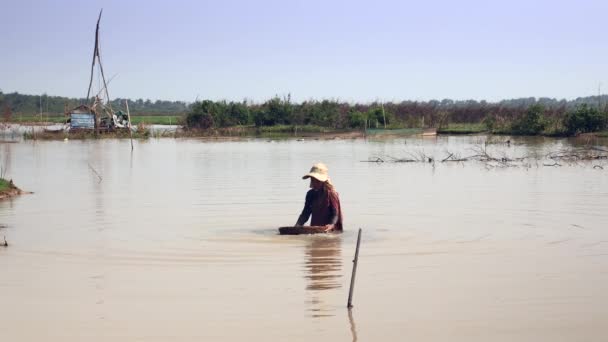 妇女收获 浸泡在河里 从竹篮里把子分类 放在克拉玛布里 船屋为背景 — 图库视频影像