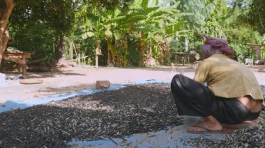 Kuru fasulye ile tahta sopa (yakın çekim el ile kırma)