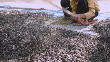 Kuru fasulye ile tahta sopa (yakın çekim el ile kırma)