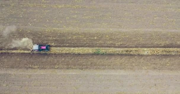 拖拉机在田野里拉着模板犁的空中平移镜头 收获田地后留下的玉米秸秆 — 图库视频影像